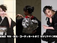黒振袖帯　帯結び　成人式前撮り